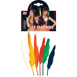 Farebné indické pierka, 12 kusov